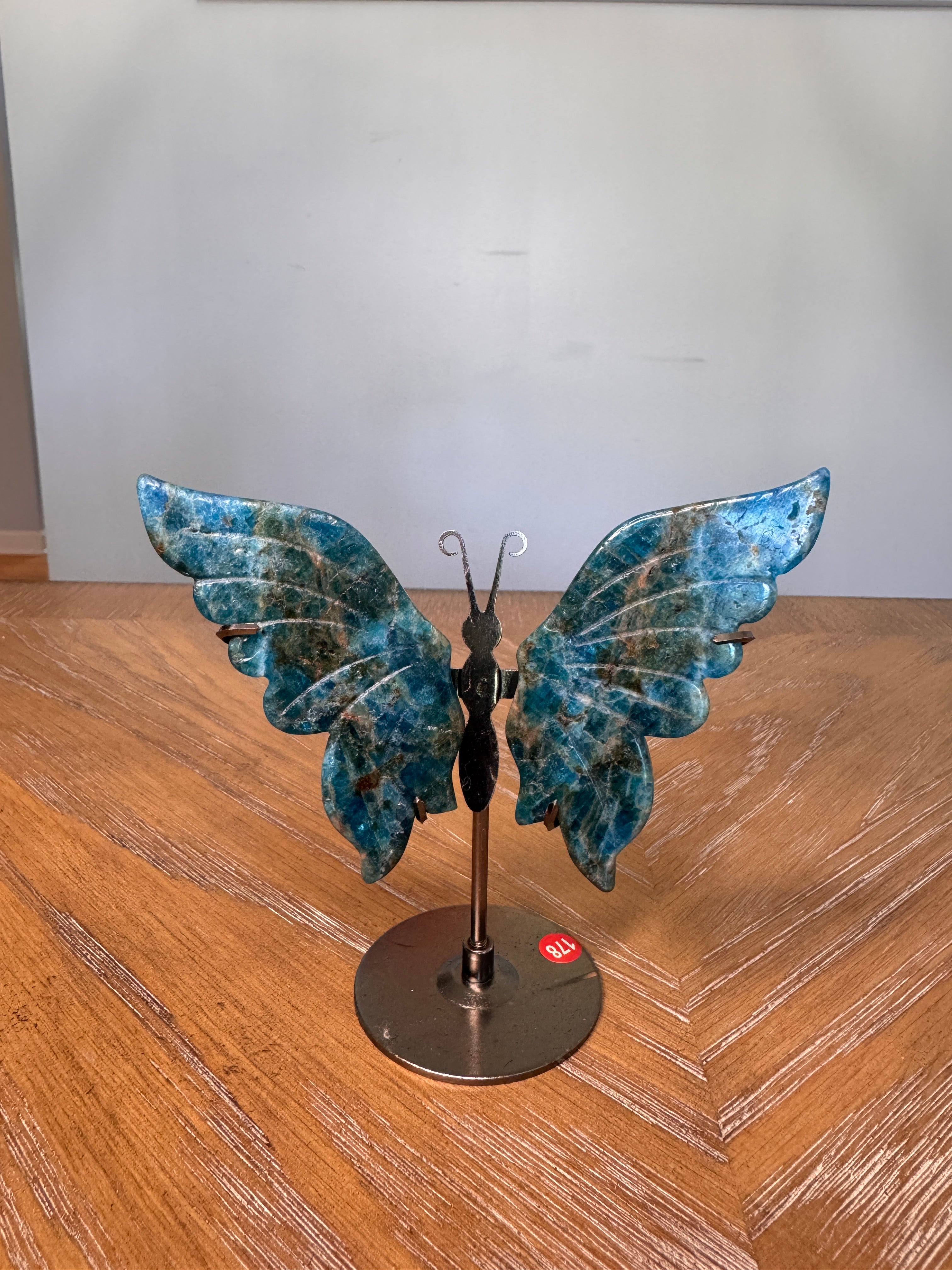 Butterfly Wings