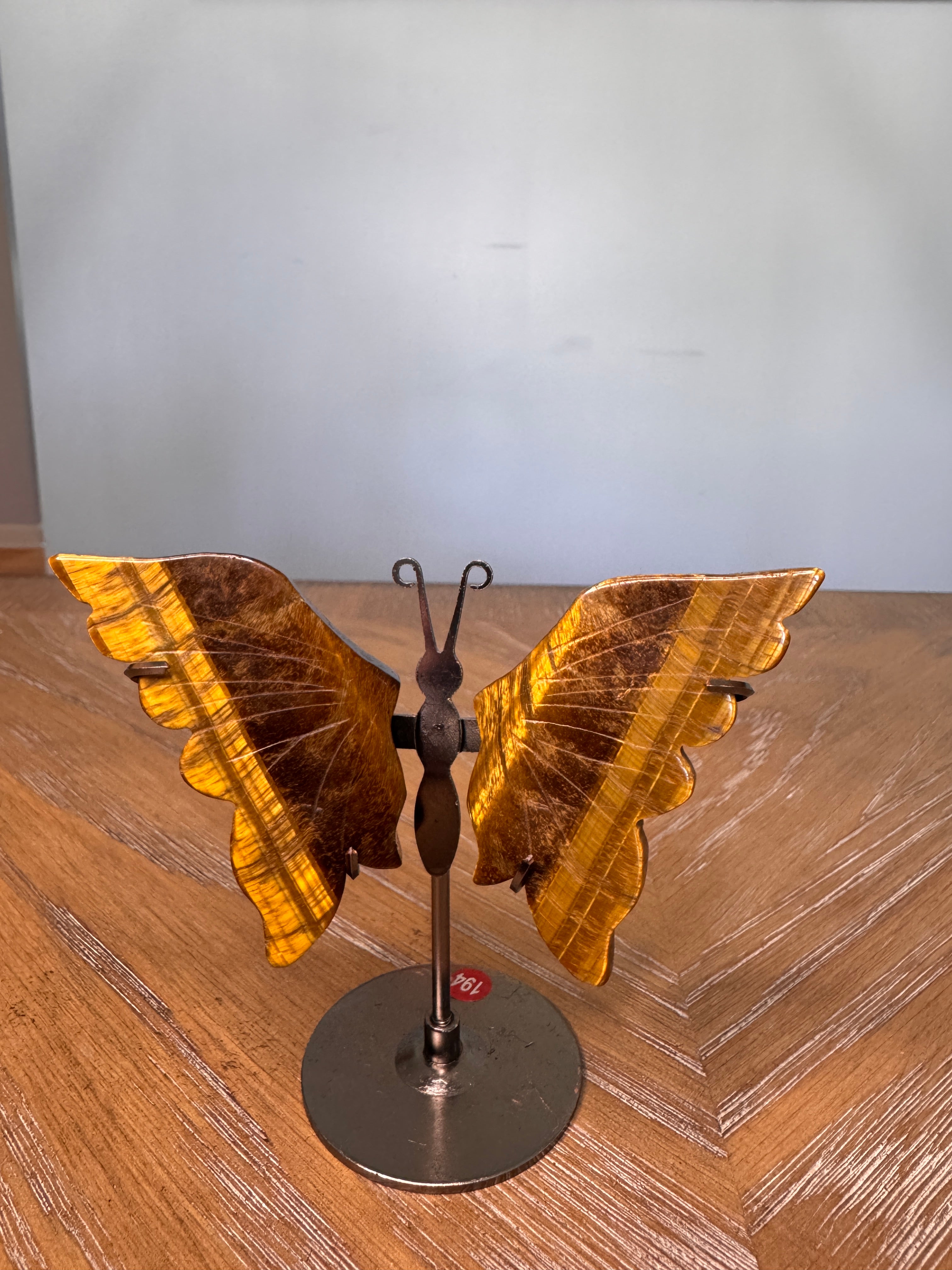 Butterfly Wings