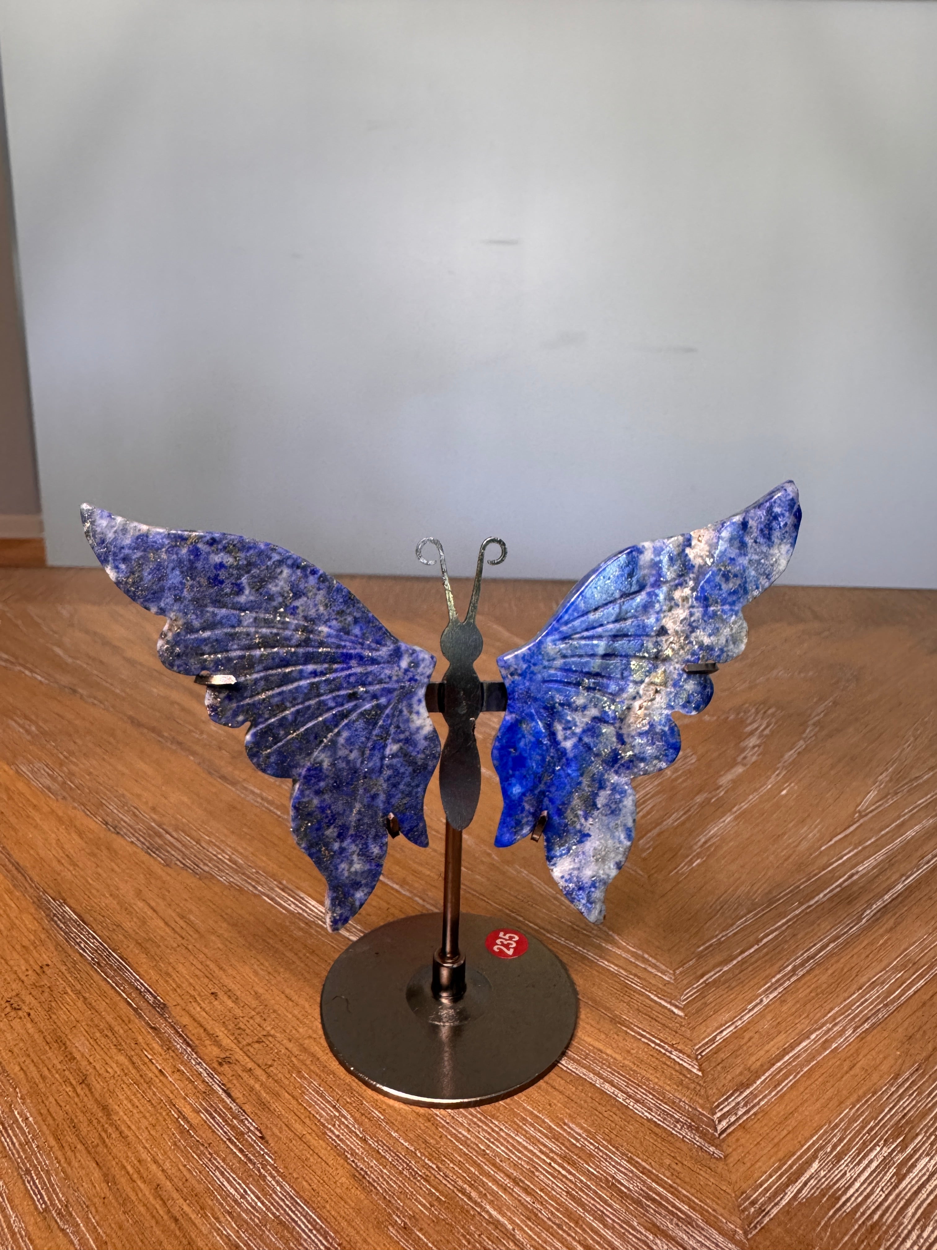 Butterfly Wings
