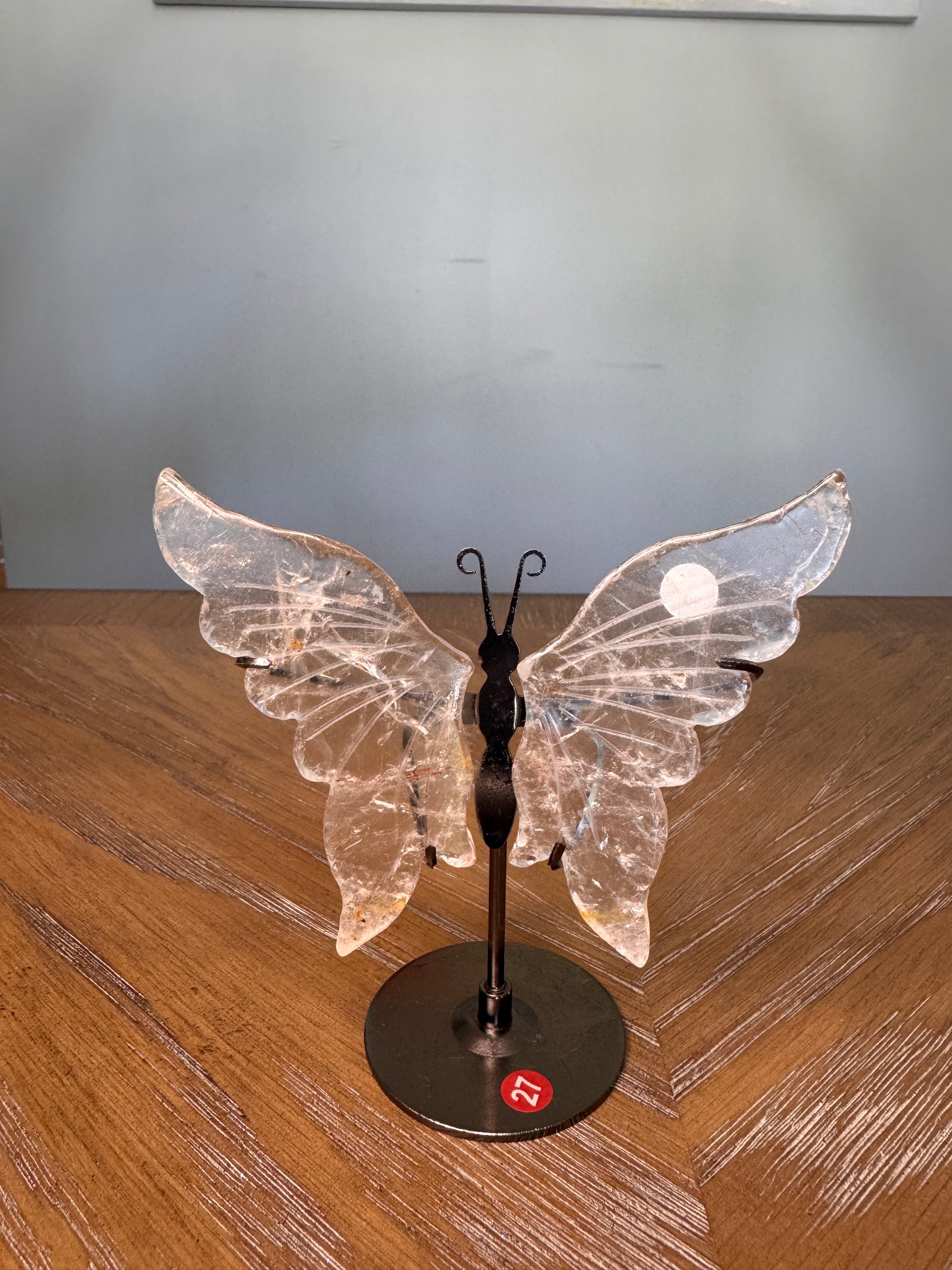 Butterfly Wings
