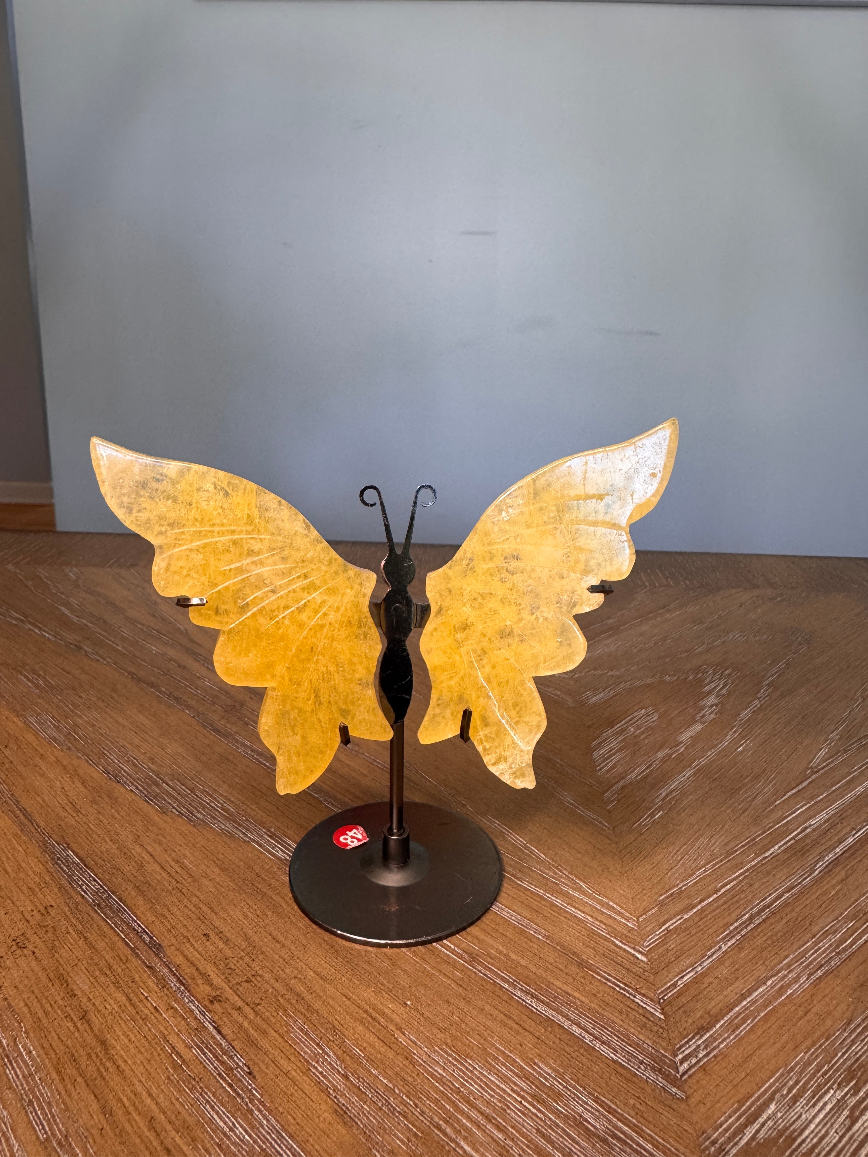 Butterfly Wings