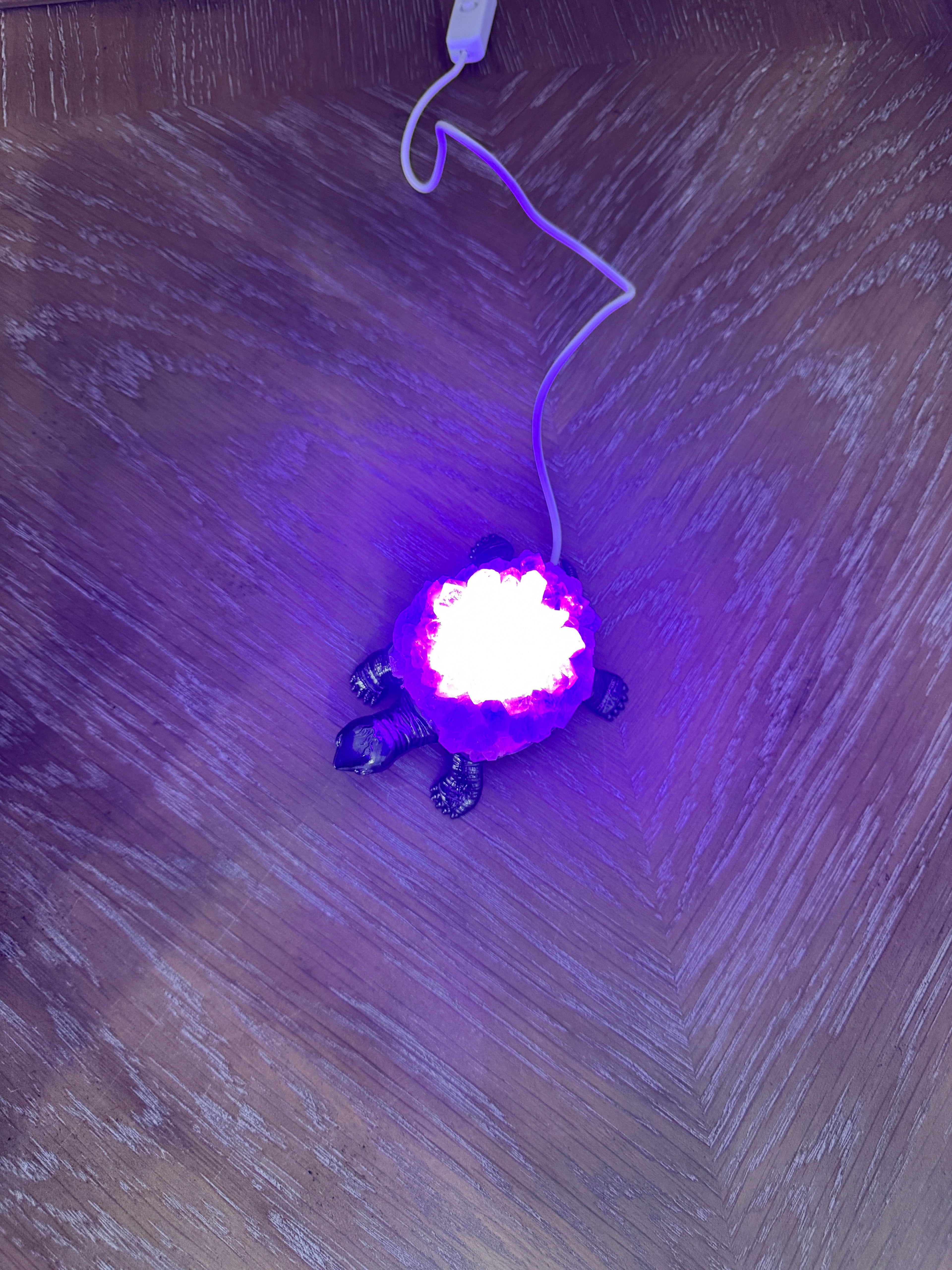 Amethyst Cluster Turtle LED Table Lamp
