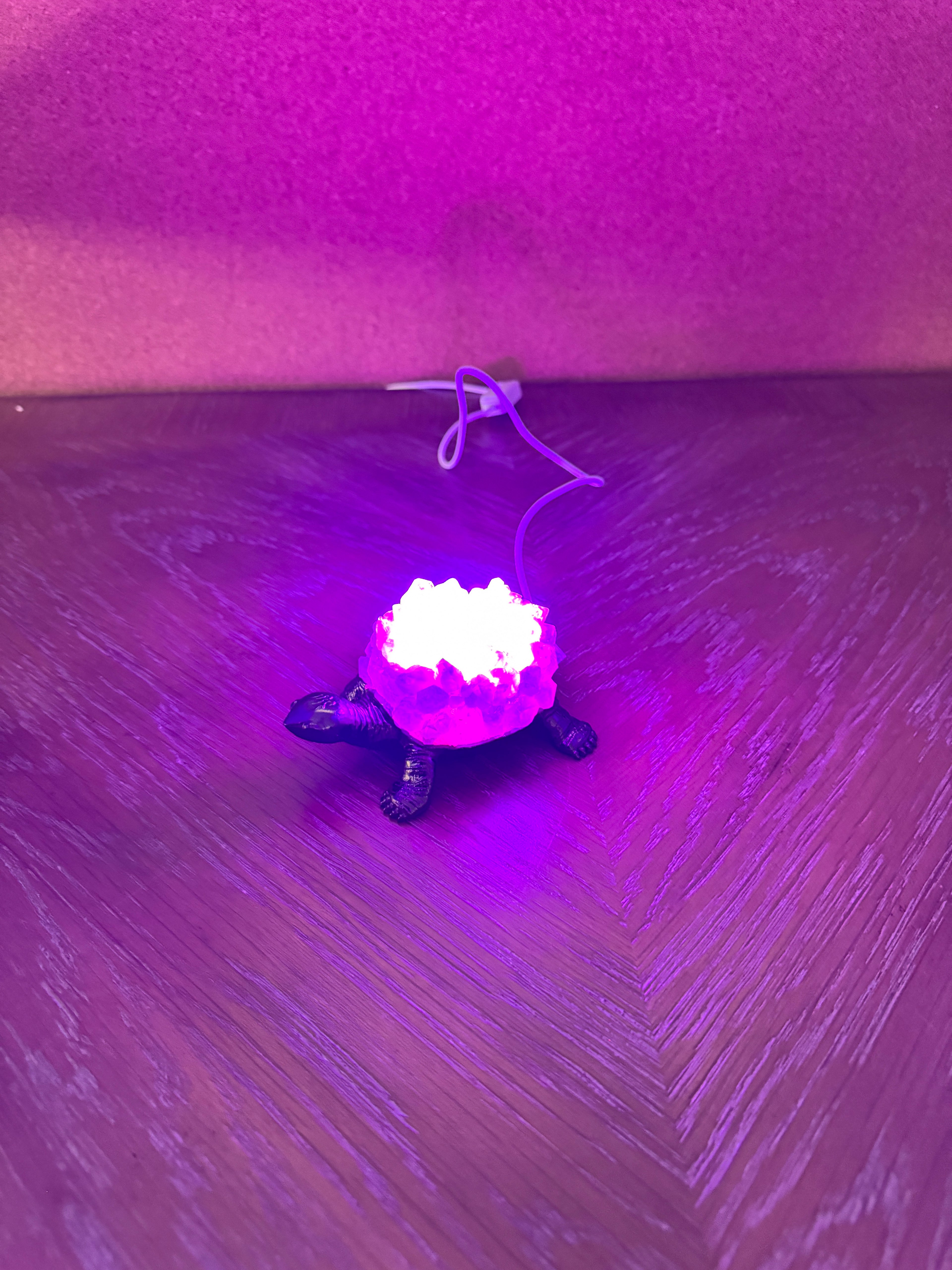Amethyst Cluster Turtle LED Table Lamp