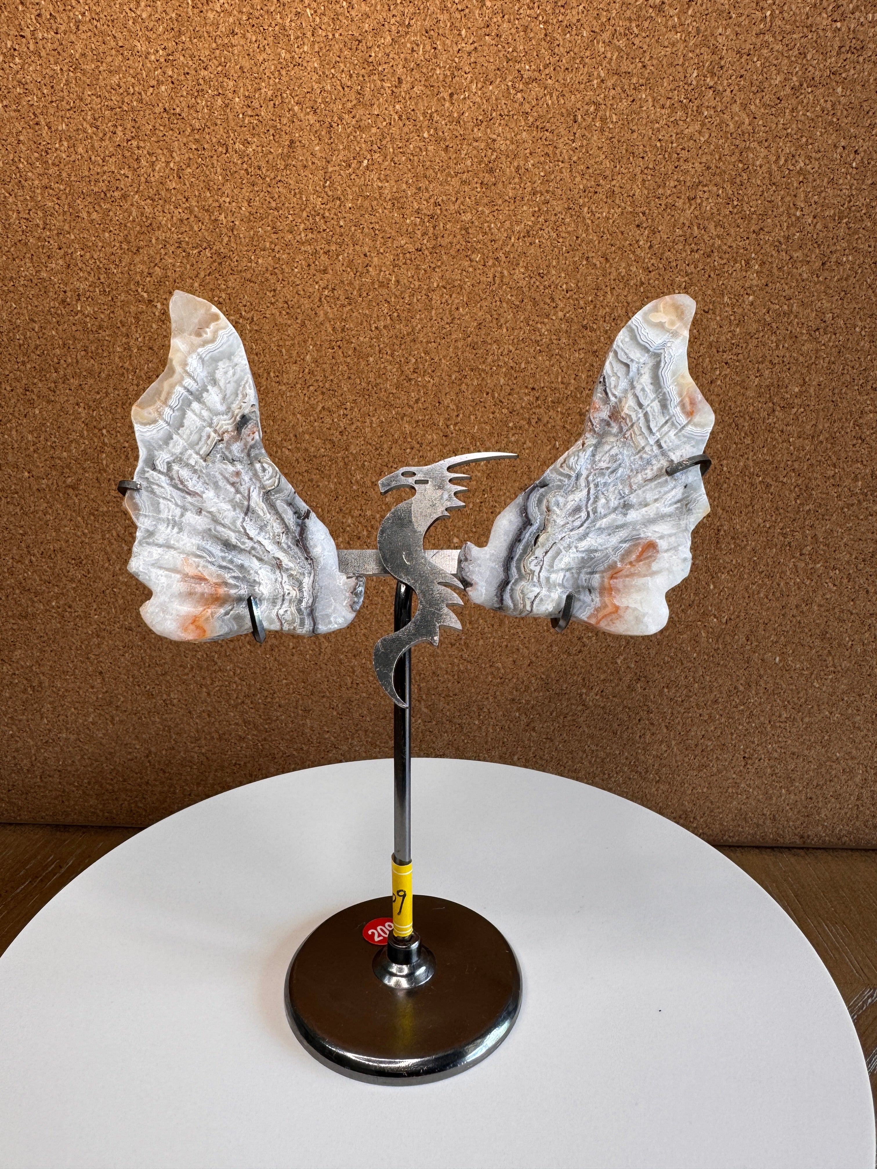 Dragon Wings