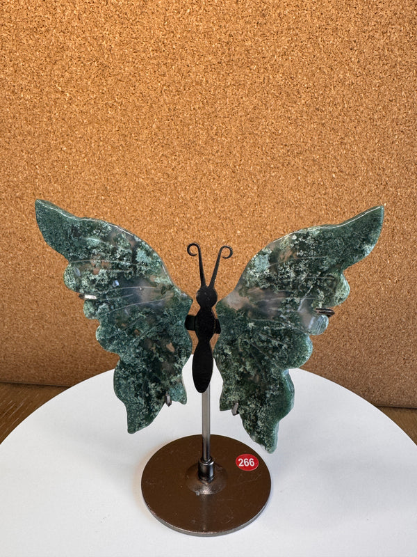 Butterfly Wings