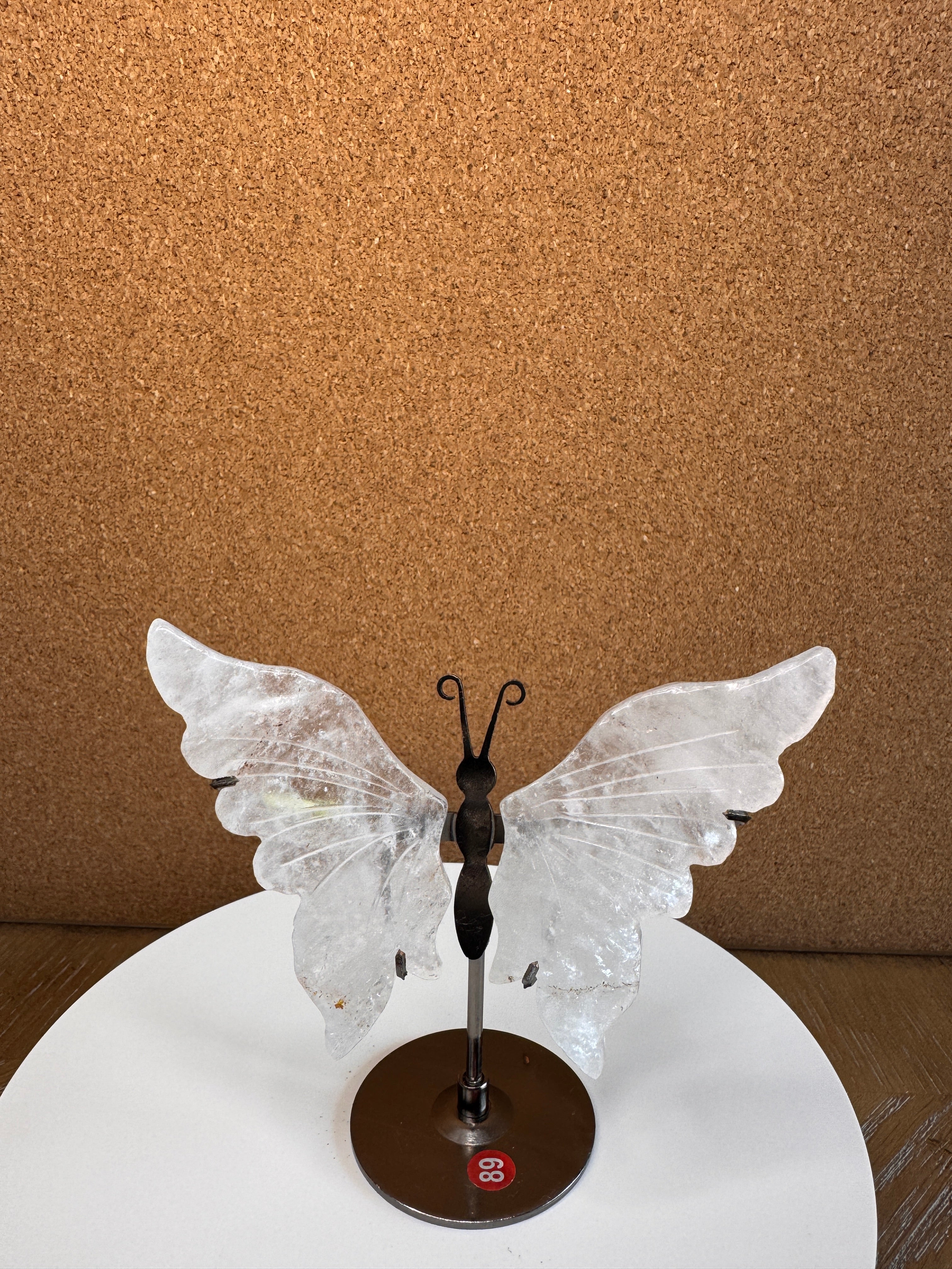 Butterfly Wings