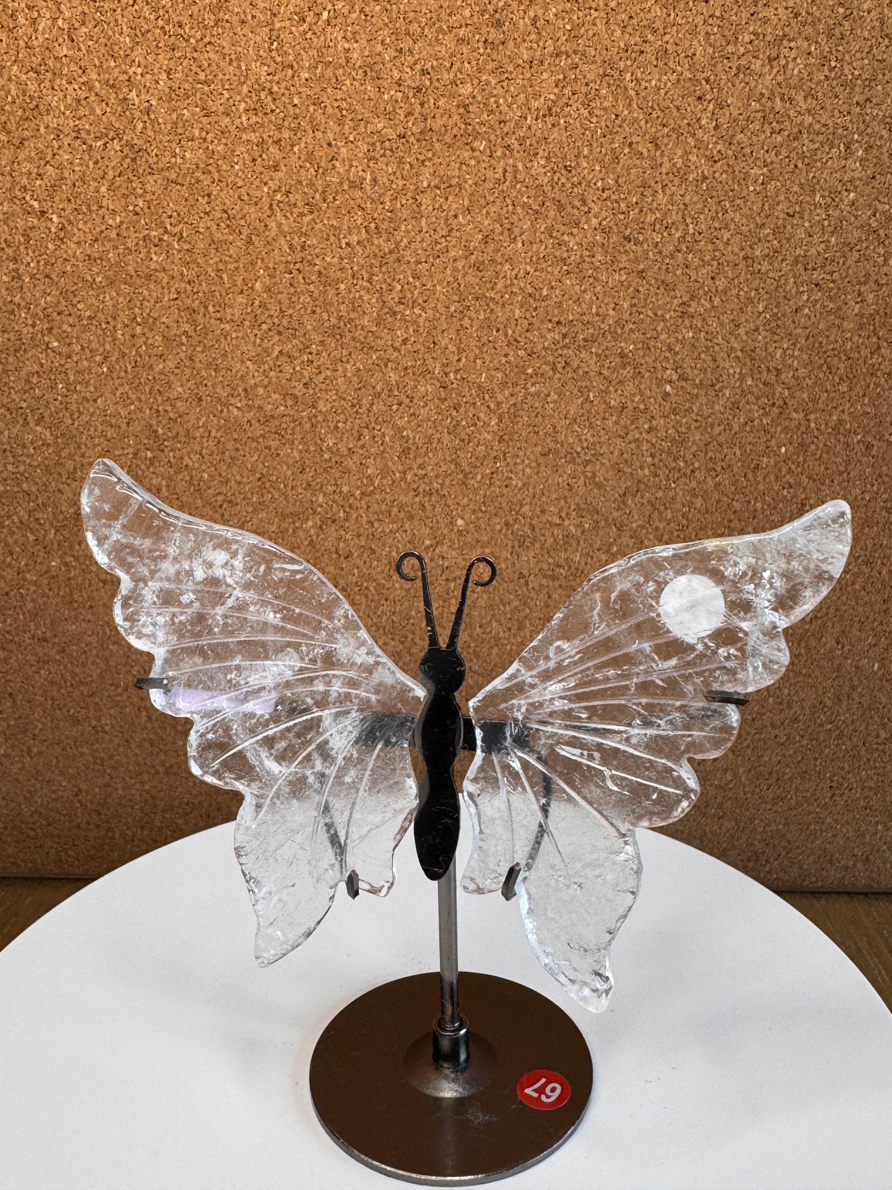 Butterfly Wings