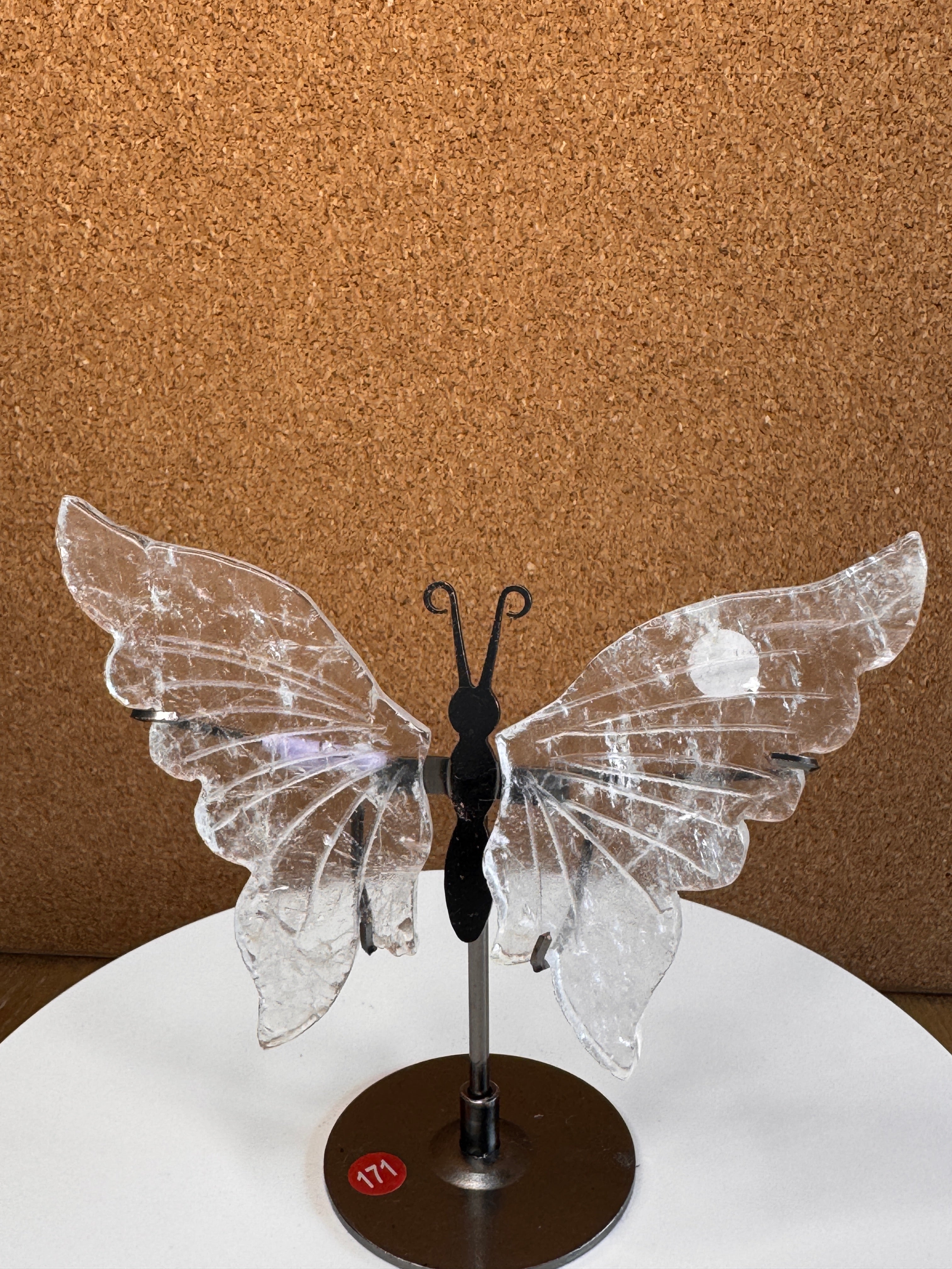 Butterfly Wings