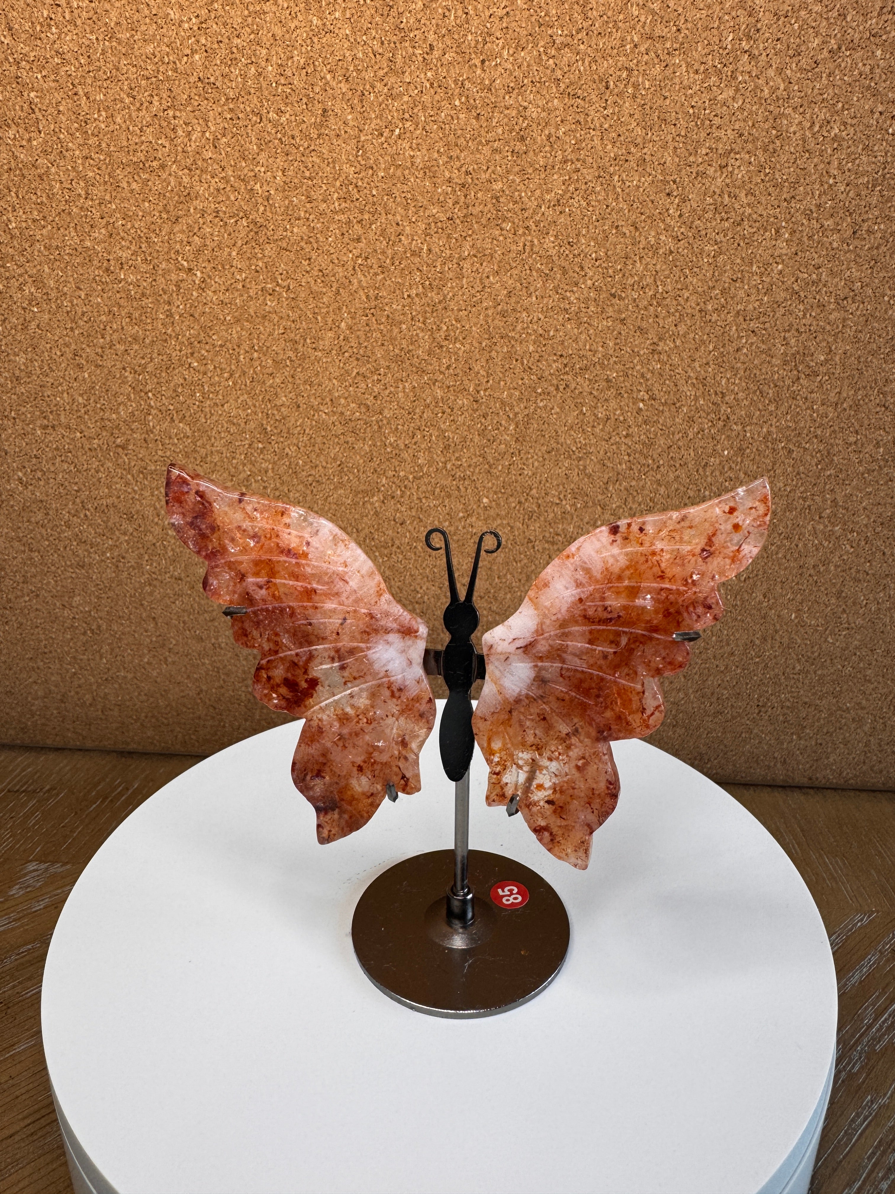 Butterfly Wings