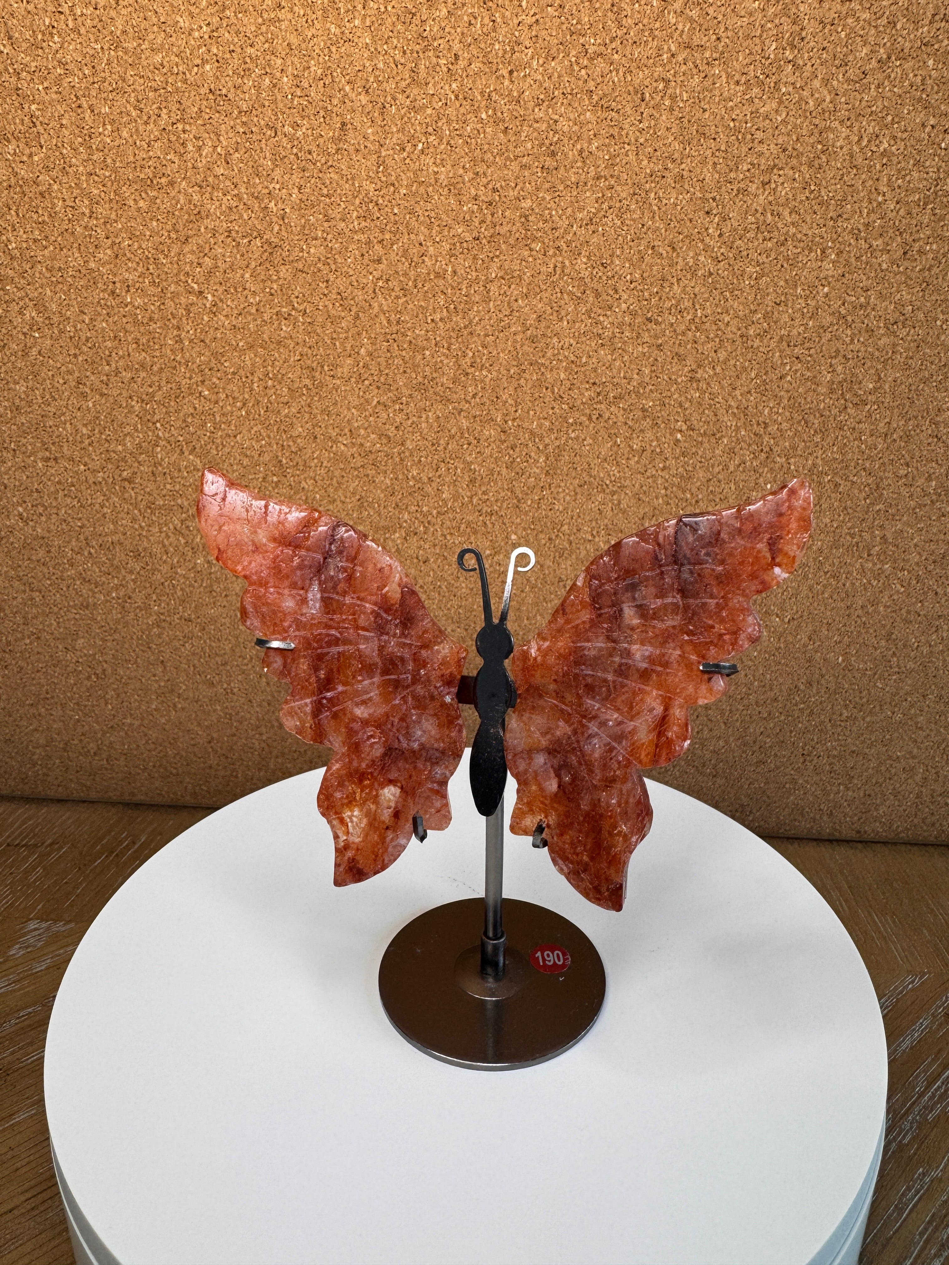 Butterfly Wings