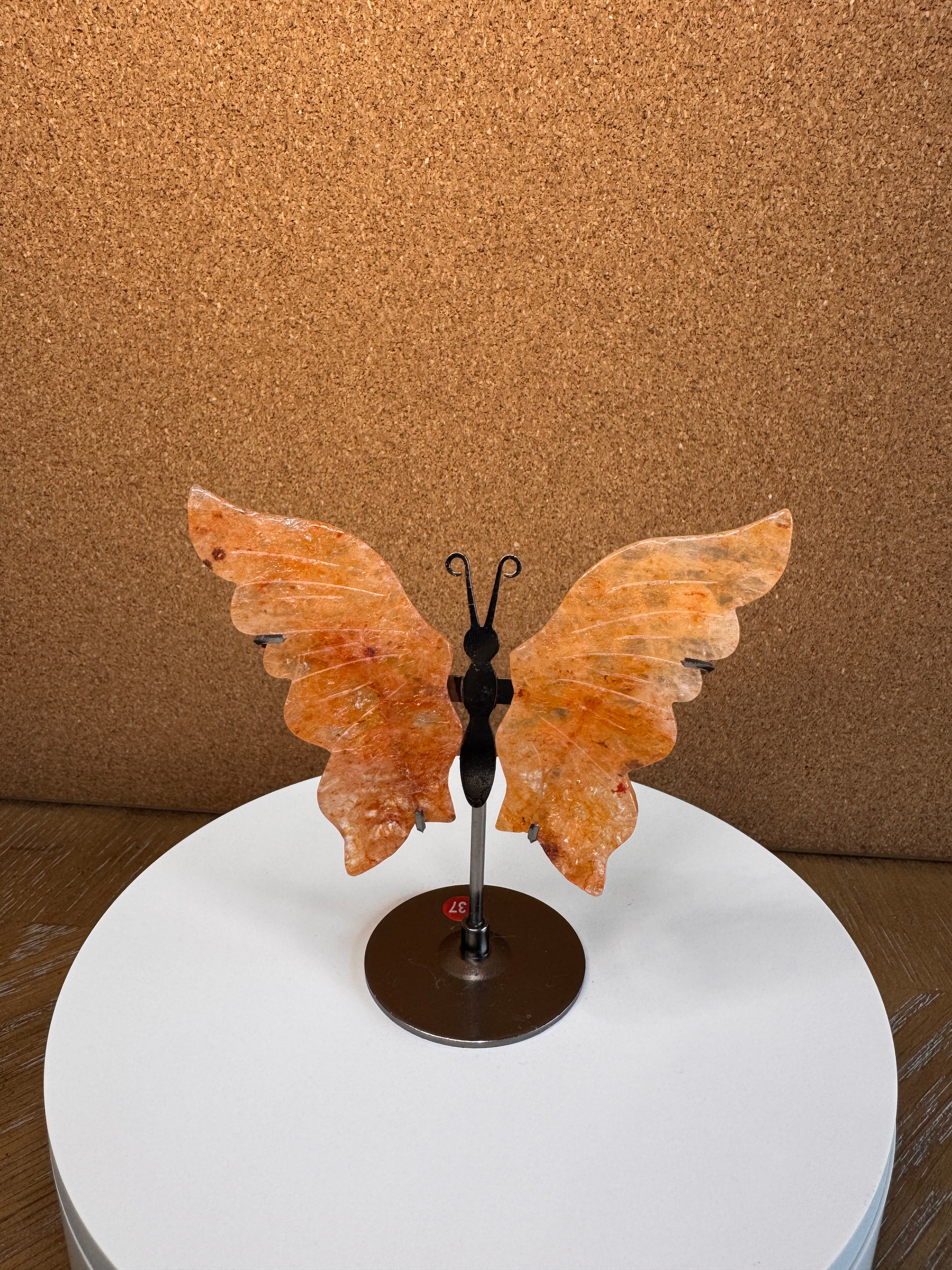 Butterfly Wings