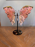 8th Vein Ocean Jasper Butterfly