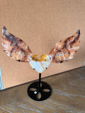 Golden Hematoid Quartz (Fire Quartz) Heart Wing Carving with Stand