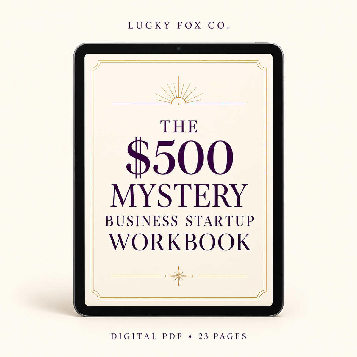 THE $500 MYSTERY BUSINESS STARTUP WORKBOOK