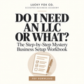 Do I Need an LLC or What? — Mystery Business Setup Workbook