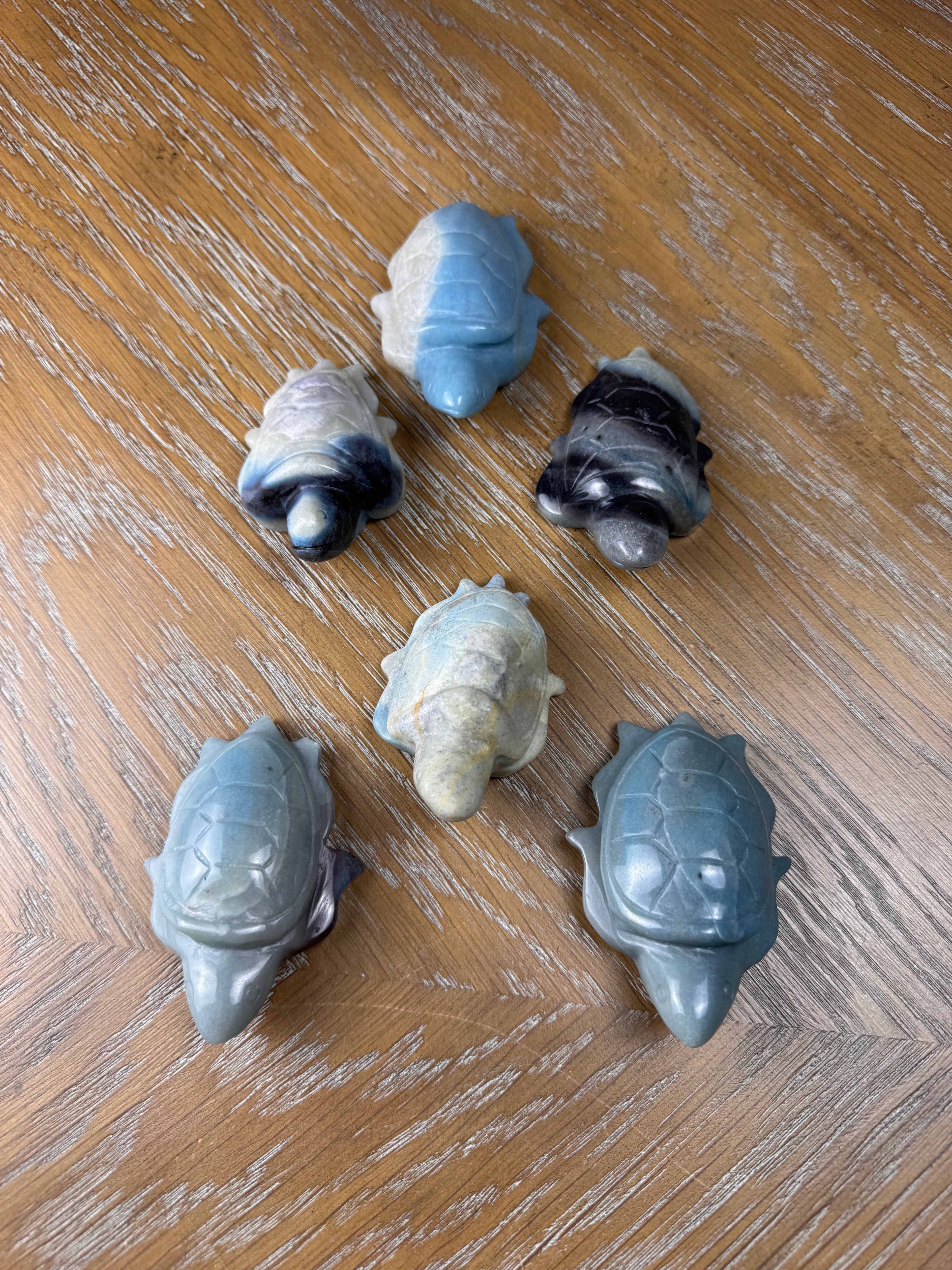 Trolleite Stone Sea Turtles
