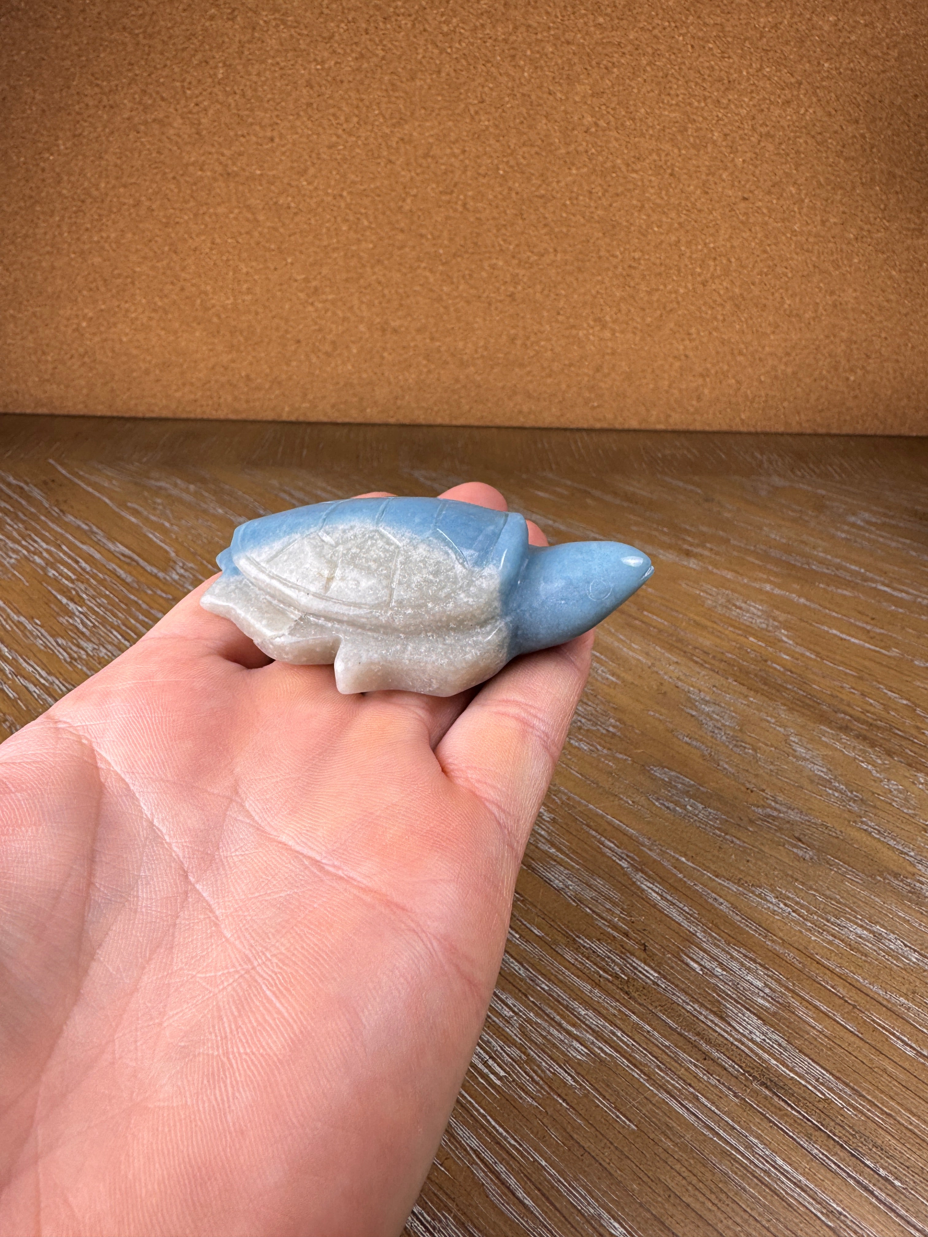 Trolleite Stone Sea Turtles