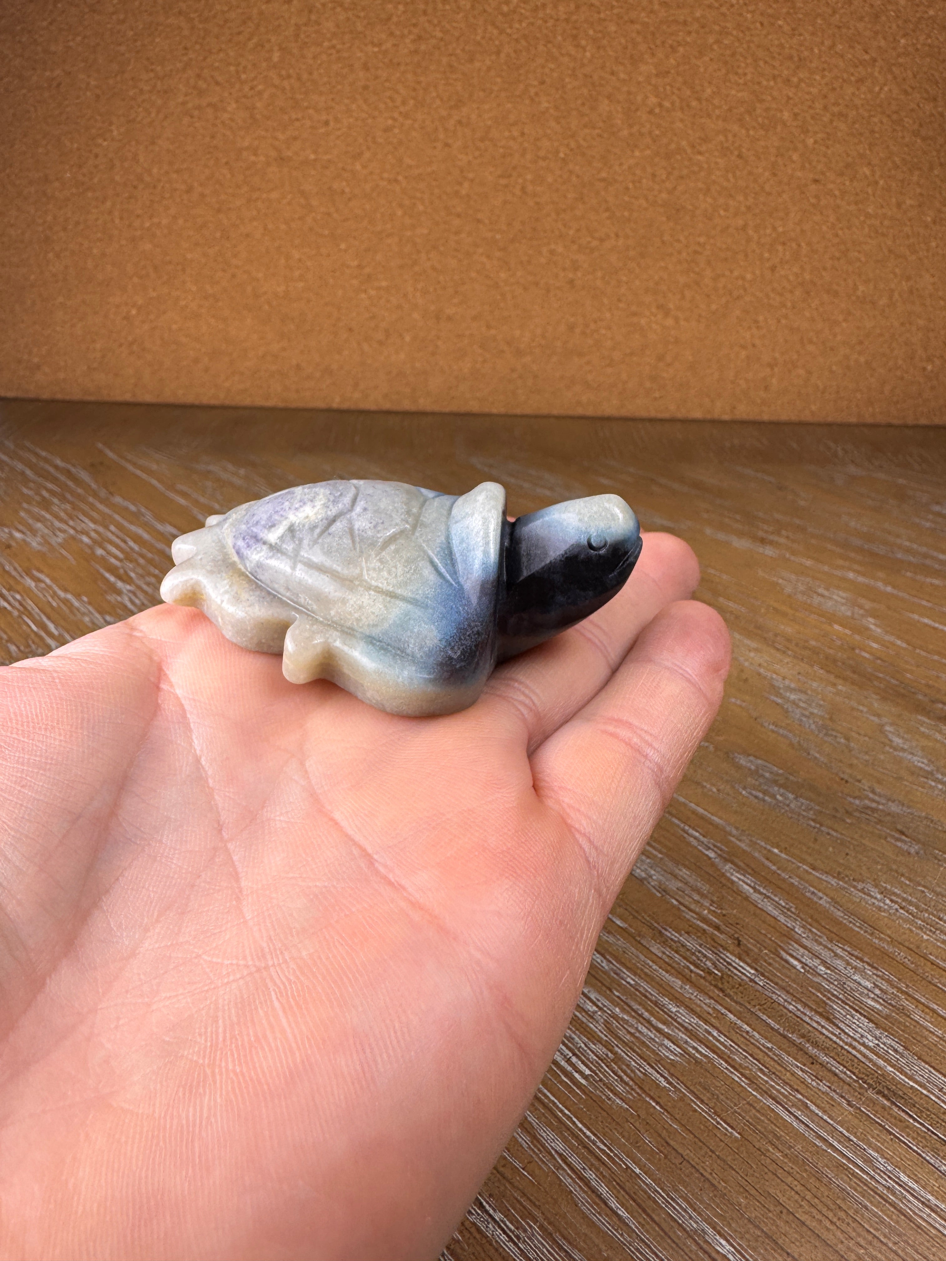 Trolleite Stone Sea Turtles