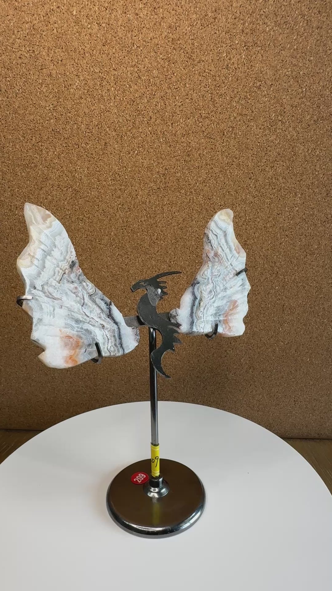 Dragon Wings